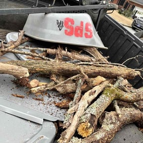 Leaf Removal by LSLTDallas/FortWorthTruGreen reviewed on June 17, 2025
