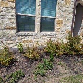 Flower Bed Weeding by "The LawnMower Man" Lawn Care Service reviewed on July 12, 2022