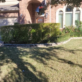 Bush Trimming by JEFC Landscaping reviewed on July 22, 2025