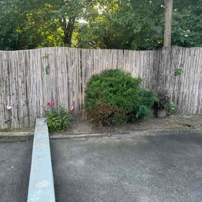 Bush Trimming by S&S Lawn Care reviewed on May 2, 2022