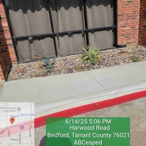 Flower Bed Weeding by Carbon Dioxide Recyclers reviewed on June 7, 2022