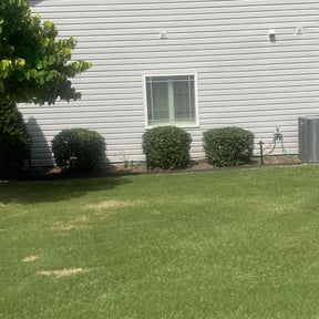 Bush Trimming by Golden Acres Lawn Care reviewed on August 9, 2022