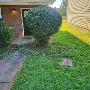 Bush Trimming by JACKSON Lawn Care reviewed on July 30, 2022
