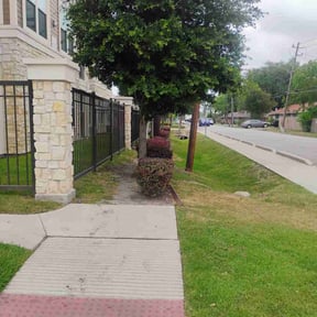 Leaf Removal by Legacy Coast Yard Co. reviewed on June 16, 2025