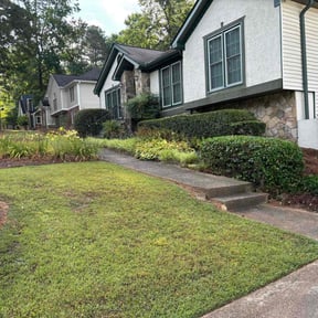 Bush Trimming by T&amp;L Landscaping reviewed on August 2, 2024