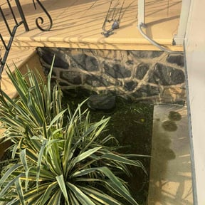 Flower Bed Weeding by Soto master reviewed on April 9, 2025