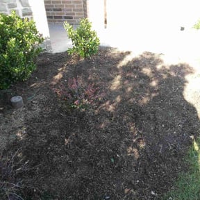 Flower Bed Weeding by Gary Evans Lawn and Tree Service reviewed on October 10, 2022