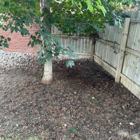 Leaf Removal by Lawn Dasher LLC reviewed on September 10, 2024