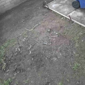 Cleanups by Extrahand Landscaping gardening & more llc. reviewed on June 17, 2020