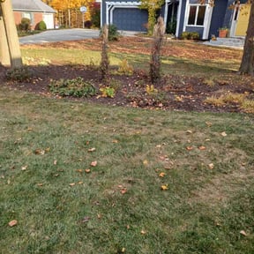 Cleanups by River City Lawn Service reviewed on June 6, 2022