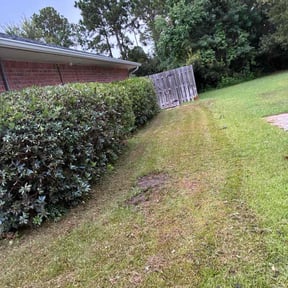 Bush Trimming by Shad’s lawn care service reviewed on April 17, 2025