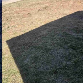 Bush Trimming by Moes Home Preservations reviewed on June 24, 2025