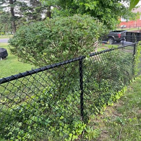Bush Trimming by Grass Gone Wild lawn care reviewed on July 27, 2021