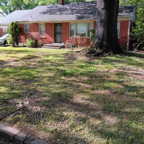 Bush Trimming by Marquez Do It All reviewed on July 30, 2025