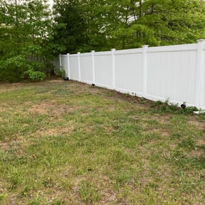 Leaf Removal by Yard Intel Pros reviewed on April 27, 2022