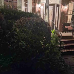 Bush Trimming by Royal Scenery LLC reviewed on October 3, 2022