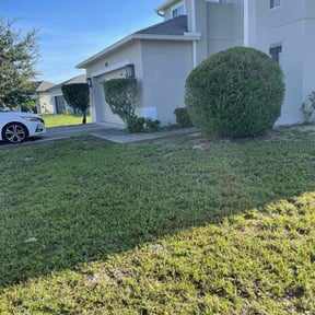 Bush Trimming by LSLTDallas/FortWorthTruGreen reviewed on April 15, 2024