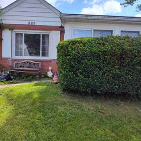 Bush Trimming by J&M Mowing reviewed on May 15, 2025