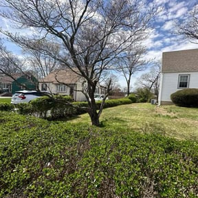 Leaf Removal by Martin LLC reviewed on October 22, 2024