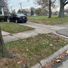 Leaf Removal by Nextdoor Lawn Services LLC reviewed on May 3, 2022