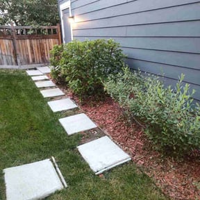 Bush Trimming by Trinity Mobile Service LLC reviewed on August 9, 2022