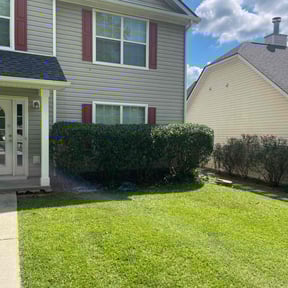 Bush Trimming by Multi Purpose reviewed on May 24, 2025