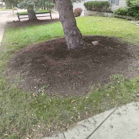 Leaf Removal by Fresh Mowz reviewed on July 3, 2022
