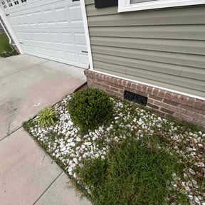 Bush Trimming by Fiers & Son’s Lawn Care and Pressure Washing reviewed on April 10, 2025