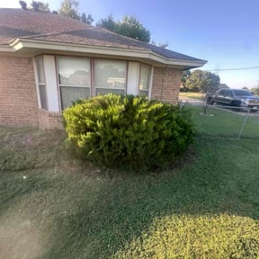 Bush Trimming by Tried & True Landscape reviewed on May 3, 2022