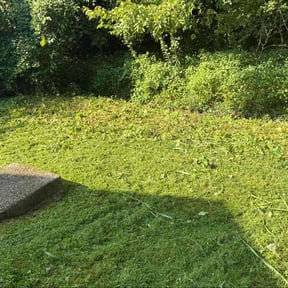 Bush Trimming by JBI Property Service LLC reviewed on April 17, 2025