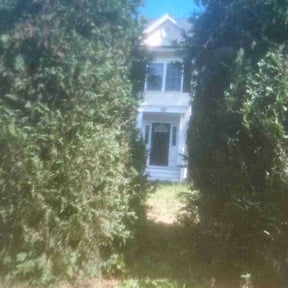 Bush Trimming by MPV Landscaping reviewed on July 28, 2022