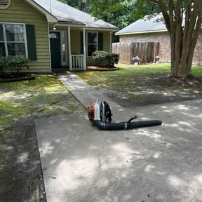 Leaf Removal by Blessed 7 Lawn Care reviewed on July 25, 2022