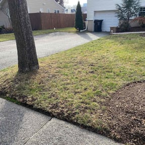 Leaf Removal by Aces reviewed on August 6, 2025