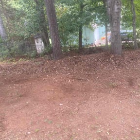 Leaf Removal by M K's Ultra Property Maintenance reviewed on July 12, 2022