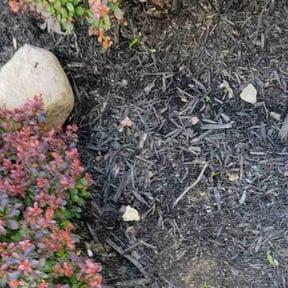 Flower Bed Weeding by Jason Fetters reviewed on June 1, 2022