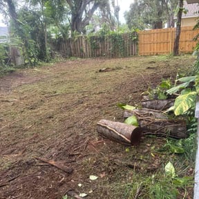 Cleanups by Demiteria Casey Mattox reviewed on June 13, 2022
