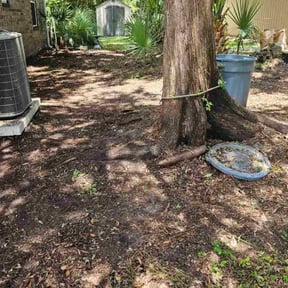 Leaf Removal by CTL Landscaping reviewed on July 14, 2022
