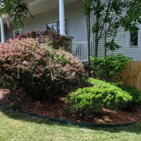 Bush Trimming by ADG Lawncare Services, LLC reviewed on November 13, 2024