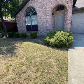 Bush Trimming by 2 Leaf Landscape reviewed on June 7, 2022