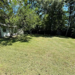 Leaf Removal by Buddys Mow Blow Go Lawncare reviewed on July 2, 2025