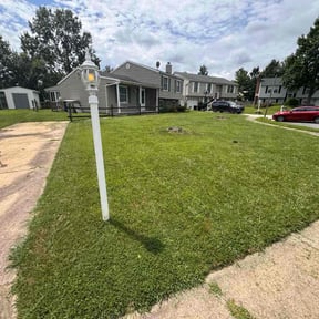 Landscaping by Short Guy Inc Home Services reviewed on June 15, 2025