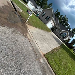 Bush Trimming by LSLTDallas/FortWorthTruGreen reviewed on August 23, 2024