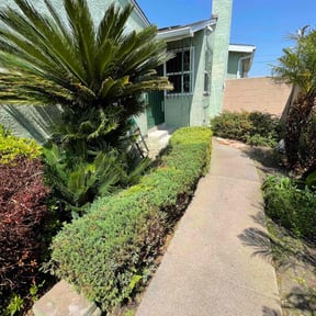 Bush Trimming by All Electric Landscaping reviewed on May 17, 2025