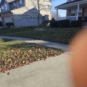 Leaf Removal by Lo Lo's Landscaping reviewed on May 1, 2022