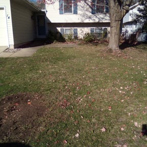 Leaf Removal by De-mo mowing reviewed on July 22, 2025