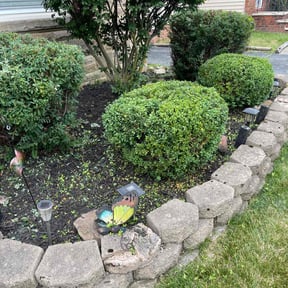 Bush Trimming by On the Go Landscaping reviewed on June 8, 2025