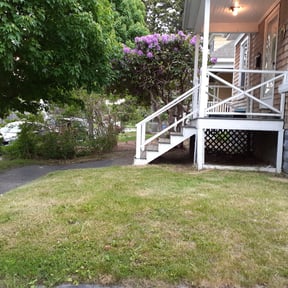 Leaf Removal by Prolific Pro Services reviewed on October 23, 2021