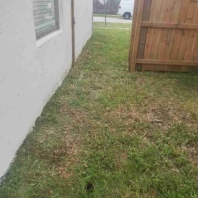Cleanups by Speedy Rabbit Lawncare reviewed on September 9, 2021