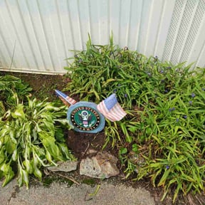 Flower Bed Weeding by Soto master reviewed on June 22, 2025