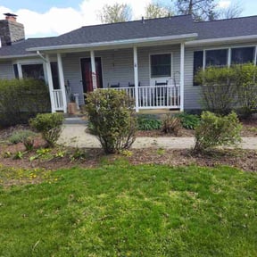 Bush Trimming by AP Landscapers reviewed on September 3, 2024